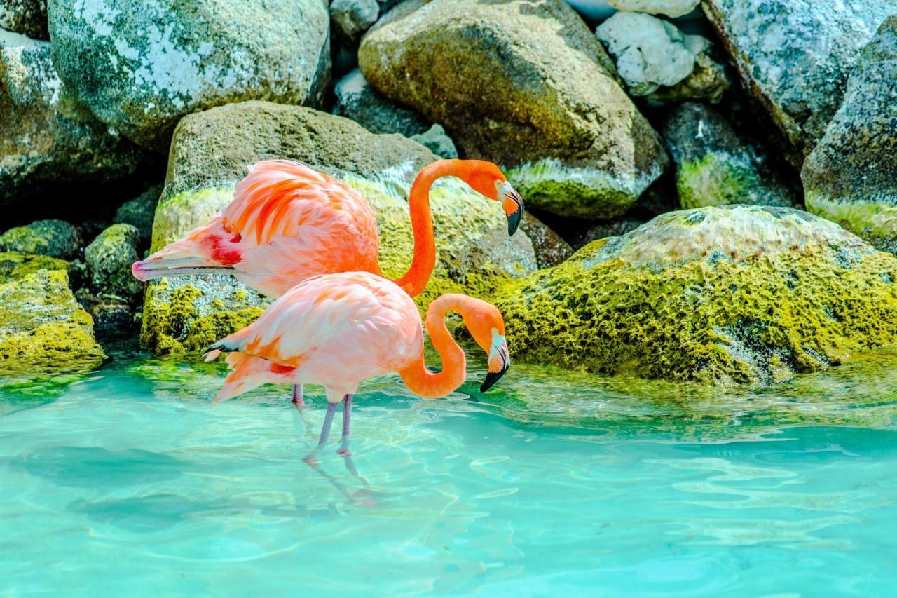 Villa Tamar パームビーチ エクステリア 写真